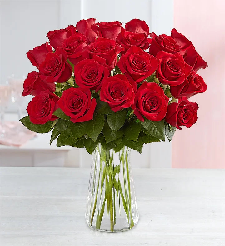 The Romance Bouquet 24 Red Roses