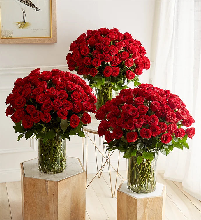 Extravagant Romance 300 Long Stem Red Roses